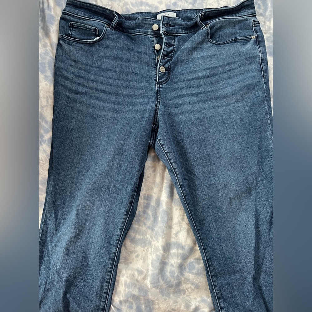 Loft High Waist Plus 18 Button Down Jeans